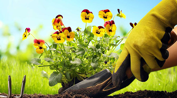 Pentru ce sunt folosite mănușile de lucru?